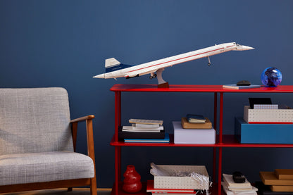 LEGO Icons Concorde Building Set 10318
